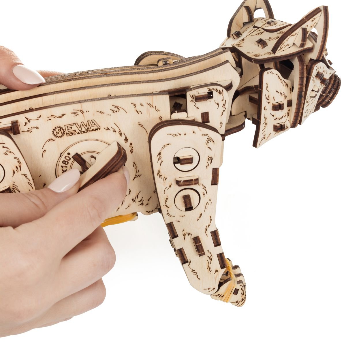 3D Wooden Model Kit | Kitten (BEW003e) – Wooden constructors | Varvikas.Shop