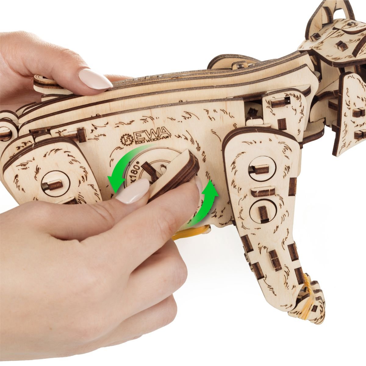 3D Wooden Model Kit | Kitten (BEW003e) – Wooden constructors | Varvikas.Shop