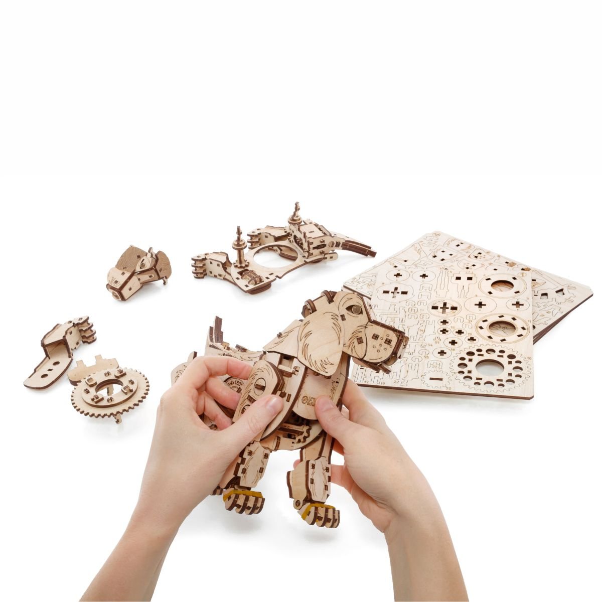3D Wooden Model Kit | Puppy (BEW002e) – Wooden constructors | Varvikas.Shop