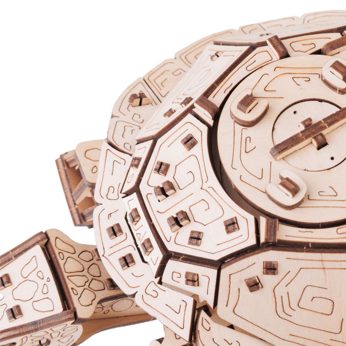 3D Wooden Model Kit | Turtle (BEW008e) – Wooden constructors | Varvikas.Shop