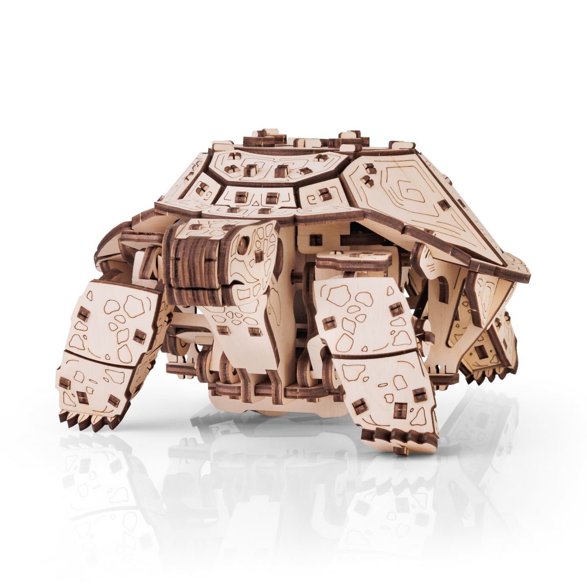3D Wooden Model Kit | Turtle (BEW008e) – Wooden constructors | Varvikas.Shop