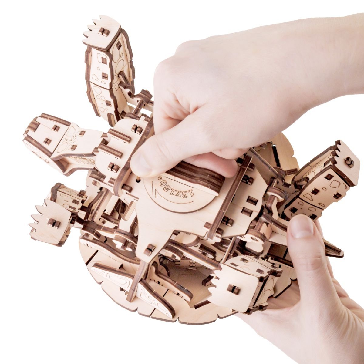 3D Wooden Model Kit | Turtle (BEW008e) – Wooden constructors | Varvikas.Shop