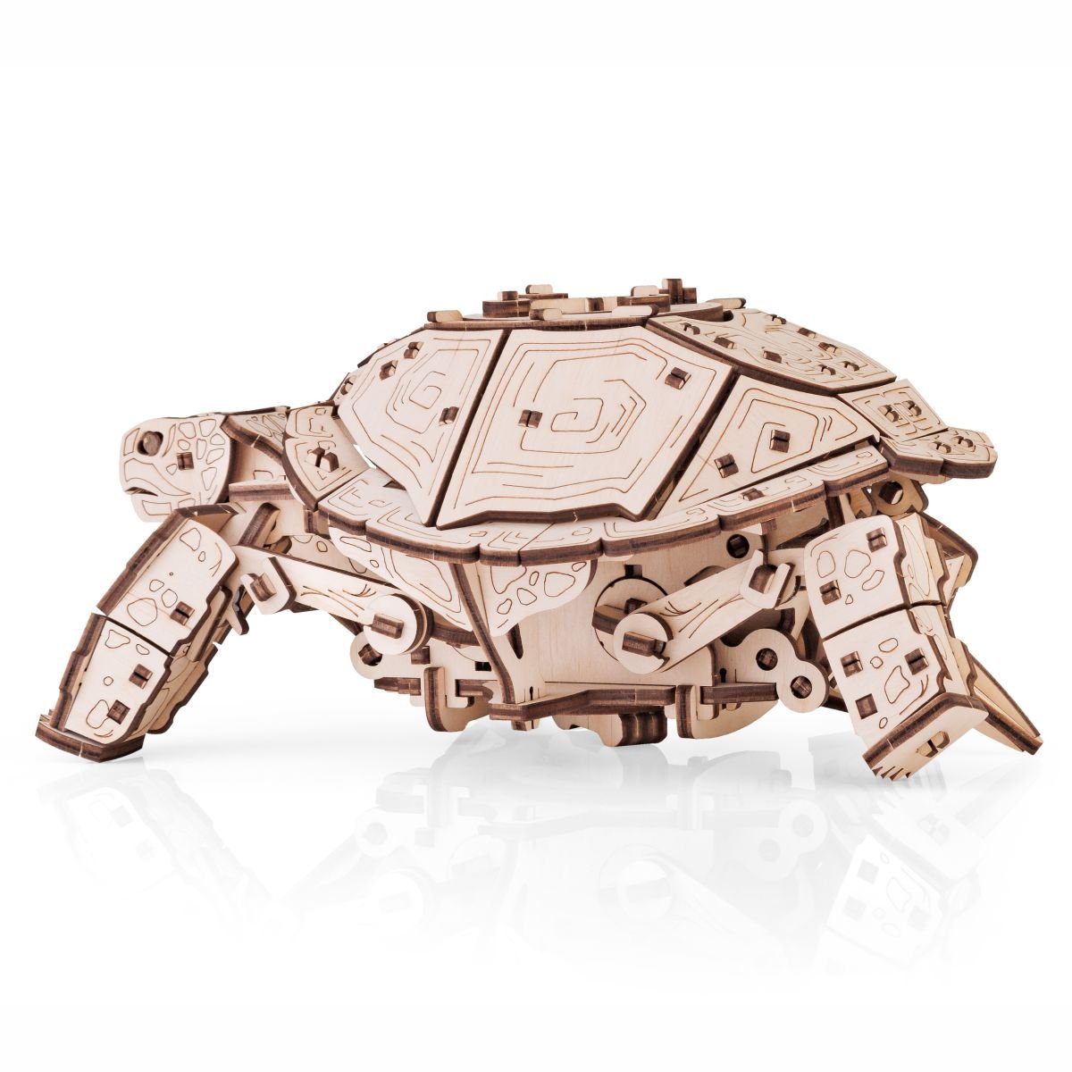 3D Wooden Model Kit | Turtle (BEW008e) – Wooden constructors | Varvikas.Shop