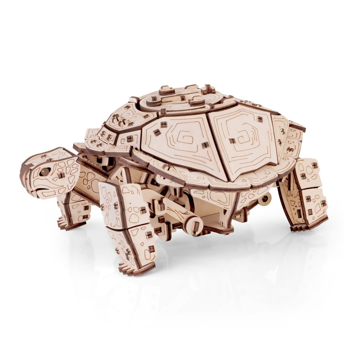 3D Wooden Model Kit | Turtle (BEW008e) – Wooden constructors | Varvikas.Shop