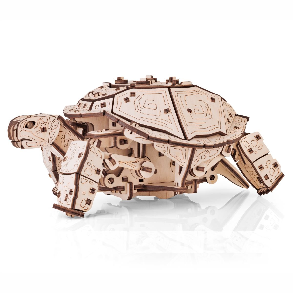 3D Wooden Model Kit | Turtle (BEW008e) – Wooden constructors | Varvikas.Shop