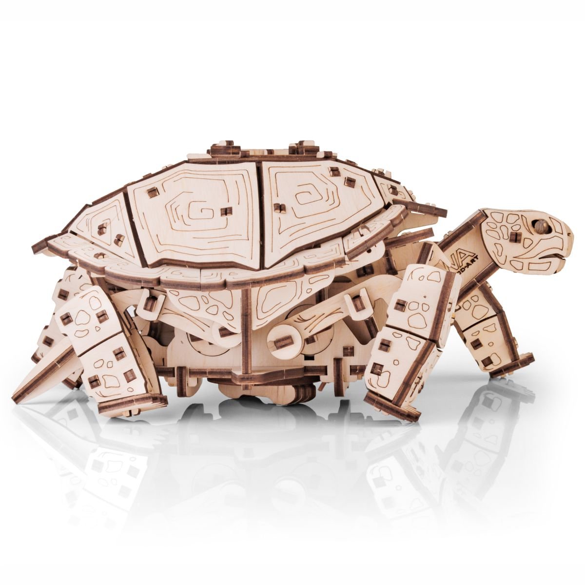 3D Wooden Model Kit | Turtle (BEW008e) – Wooden constructors | Varvikas.Shop