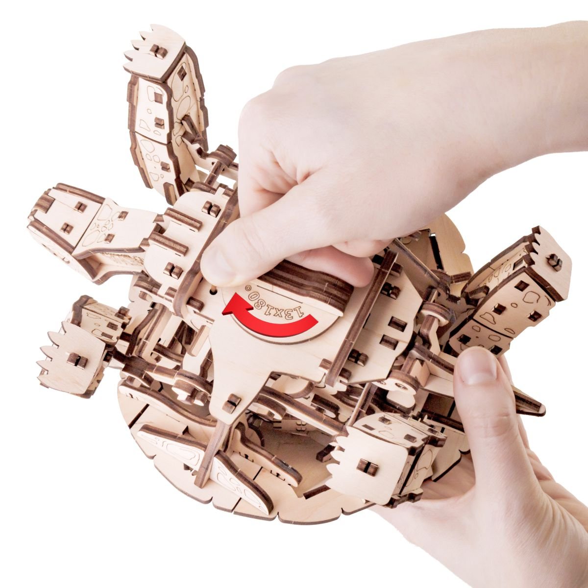 3D Wooden Model Kit | Turtle (BEW008e) – Wooden constructors | Varvikas.Shop