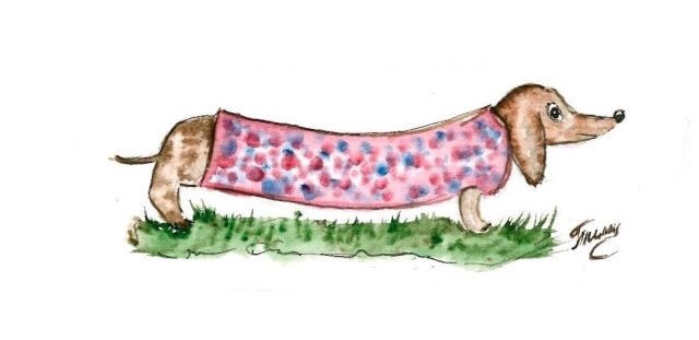 5D Diamond Painting 17х22 cm | Dachshund Lulu (X002e) – Diamond painting | Varvikas.Shop