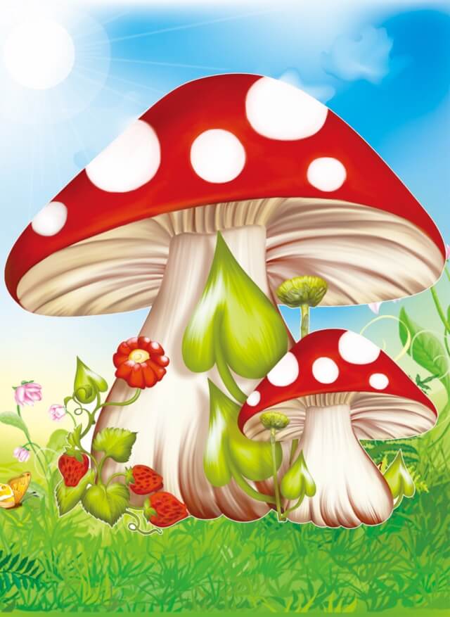 5D Diamond Painting 17х22 cm | Fly agaric mushrooms (X005e) – Diamond painting | Varvikas.Shop