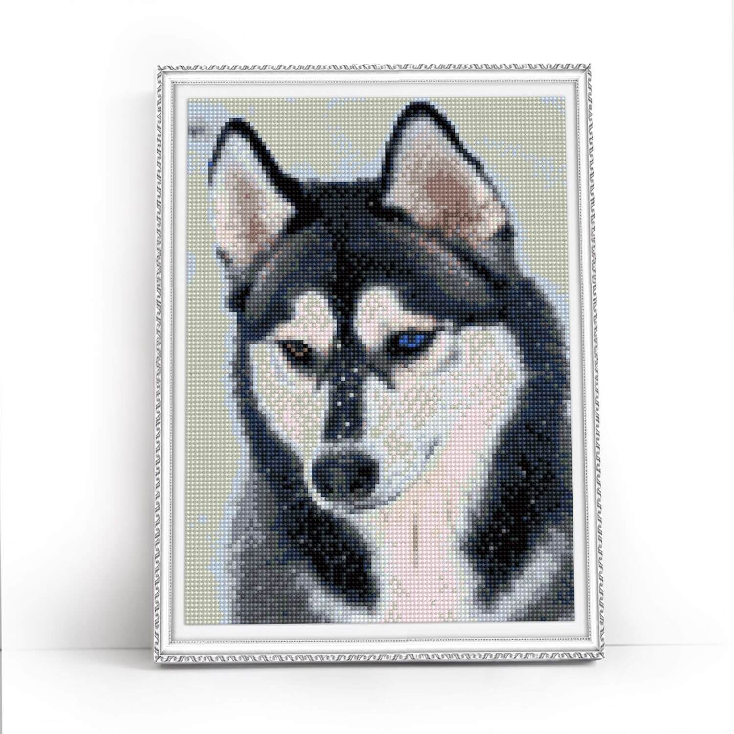 5D Diamond Painting 30x40 cm | Amazing husky (LE130e) – Diamond painting | Varvikas.Shop