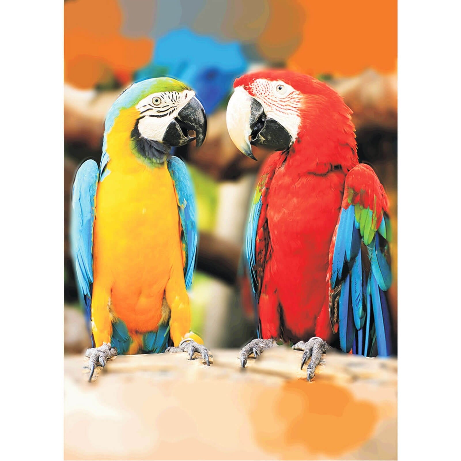 5D Diamond Painting 30x40 cm | Ara Parrots (LE106e) – Diamond painting | Varvikas.Shop
