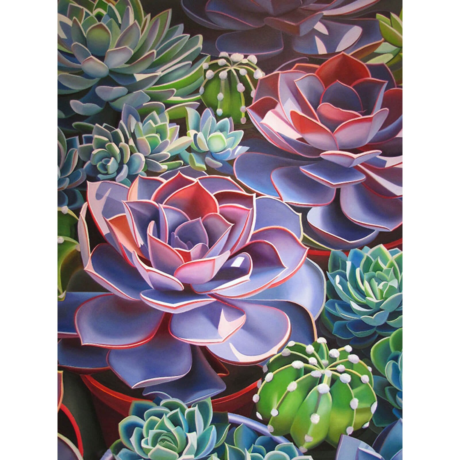 5D Diamond Painting 30x40 cm | Succulent (LE153e) – Diamond painting | Varvikas.Shop