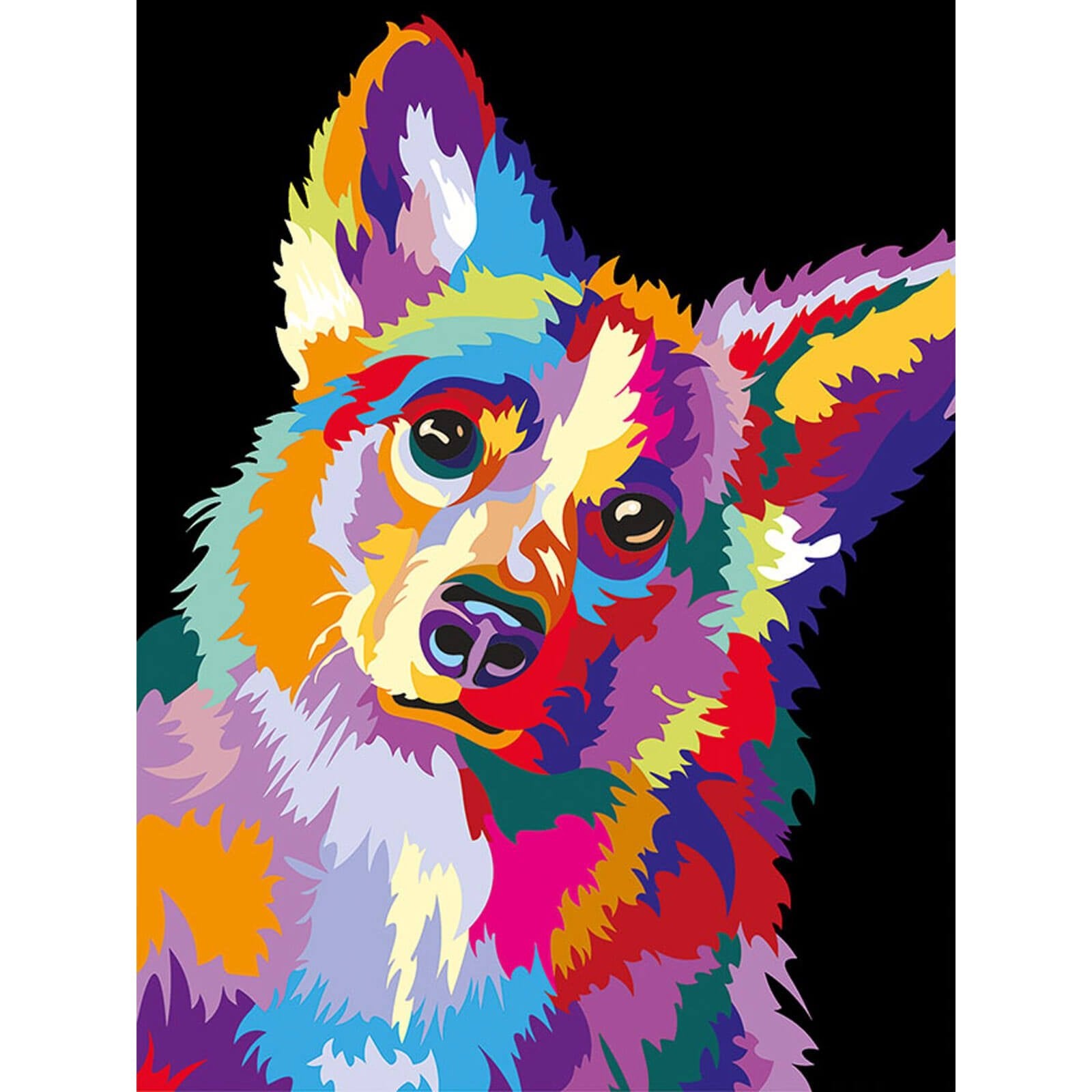 5D Diamond Painting 30x40 cm | Through the eyes of a corgi (LE135e) – Diamond painting | Varvikas.Shop