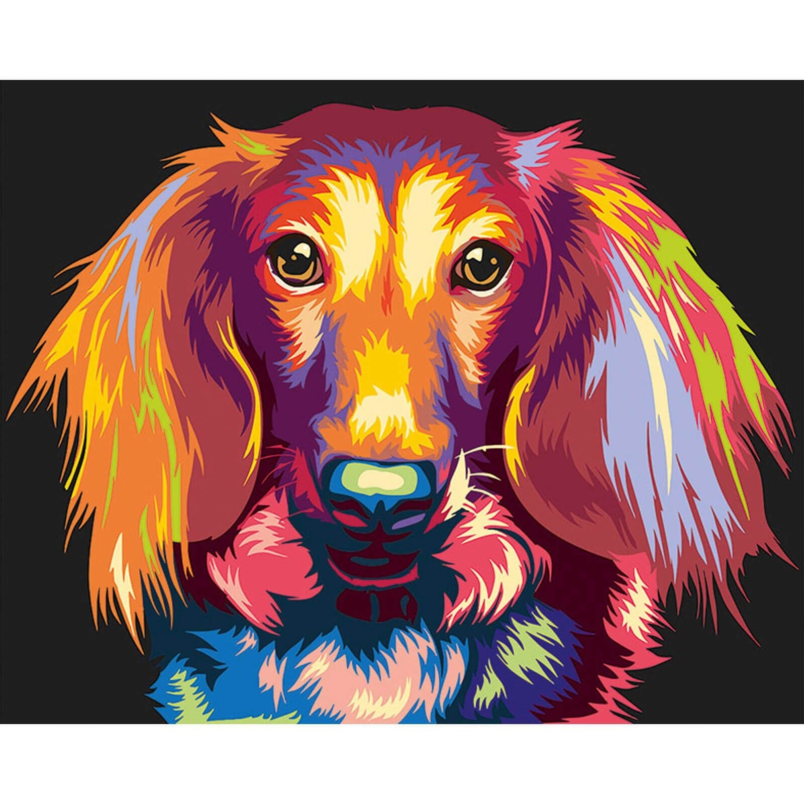 5D Diamond Painting 30x40 cm | Through the eyes of a dachshund (LE138e) – Diamond painting | Varvikas.Shop