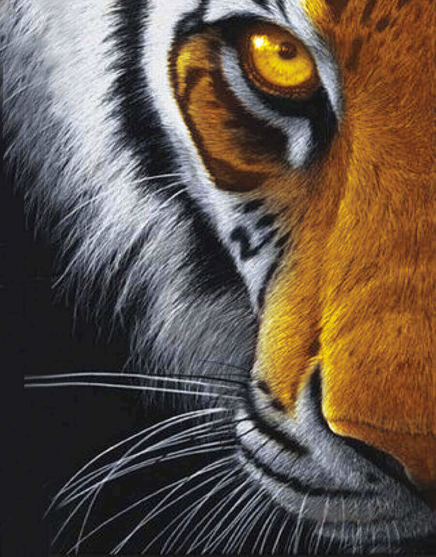 5D Diamond Painting 40x50 cm | Eye of the Predator (LG167e) – Diamond painting | Varvikas.Shop
