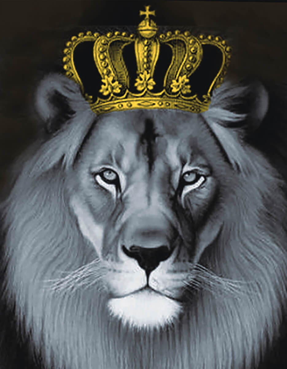 5D Diamond Painting 40x50 cm | Lion King (LG235e) – Diamond painting | Varvikas.Shop