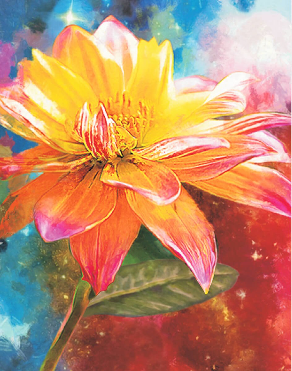 5D Diamond Painting 40x50 cm | Orange Lily (LG228e) – Diamond painting | Varvikas.Shop