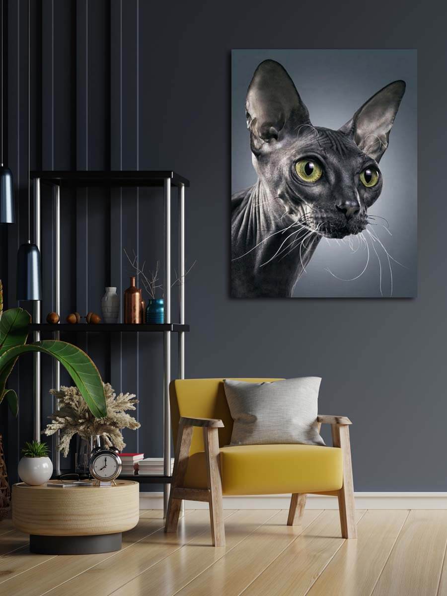 5D Diamond Painting 50x65 cm | Sphynx Cat (LMC034e) – Diamond painting | Varvikas.Shop