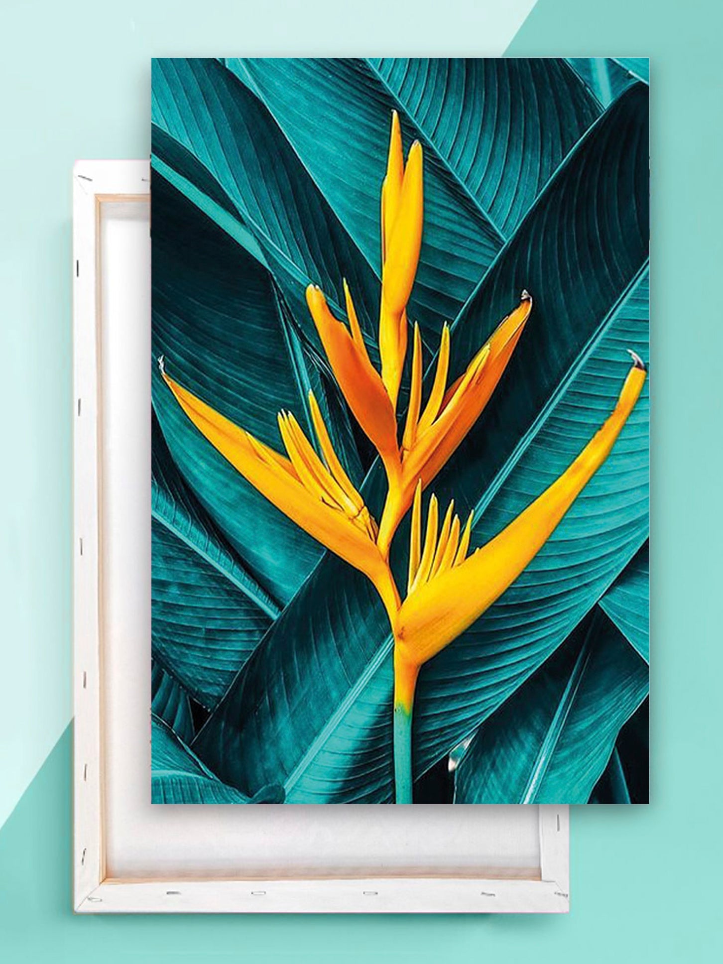 Paint by Numbers 20x30 cm | Exotics (MC1125e) – Painting by numbers | Varvikas.Shop