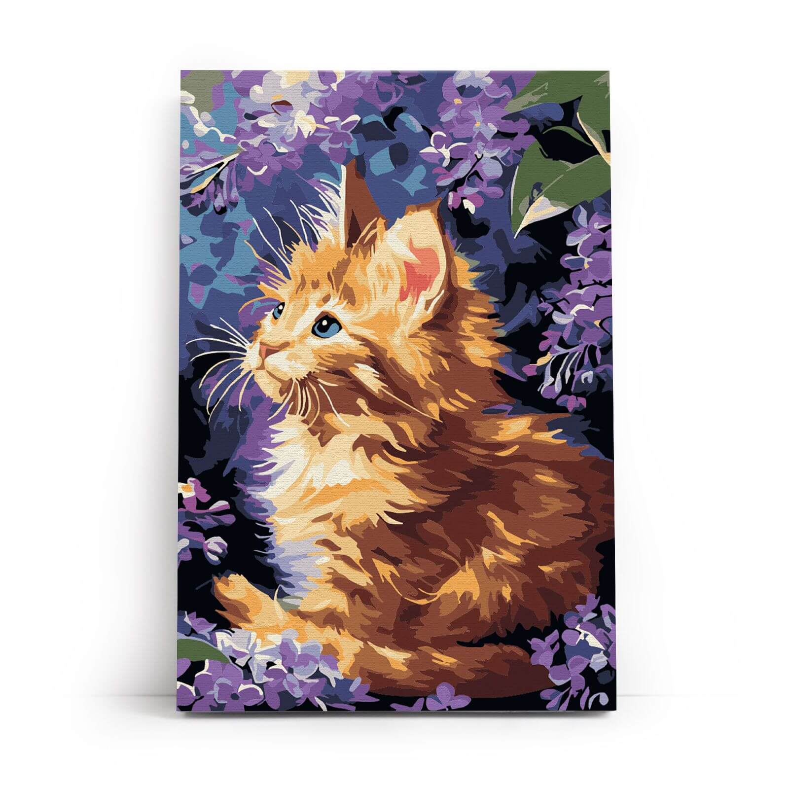 Paint by Numbers 20x30 cm | Ginger Kitten (MC1157e) – Painting by numbers | Varvikas.Shop