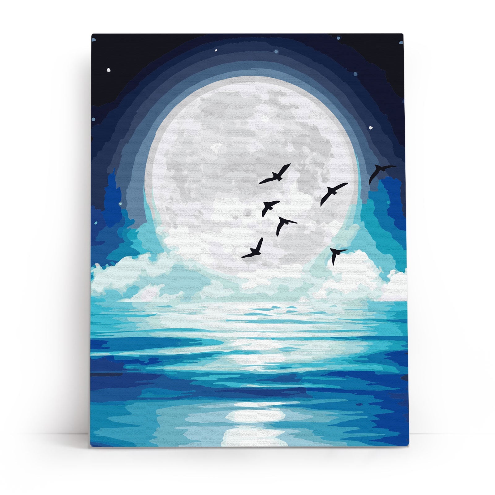 Paint by Numbers 30x40 cm | In the moonlight (ME1147e) – Painting by numbers | Varvikas.Shop