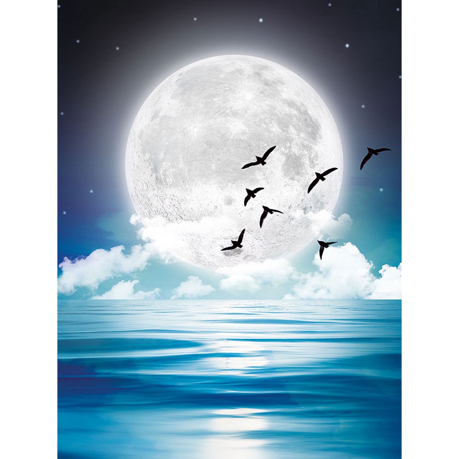 Paint by Numbers 30x40 cm | In the moonlight (ME1147e) – Painting by numbers | Varvikas.Shop