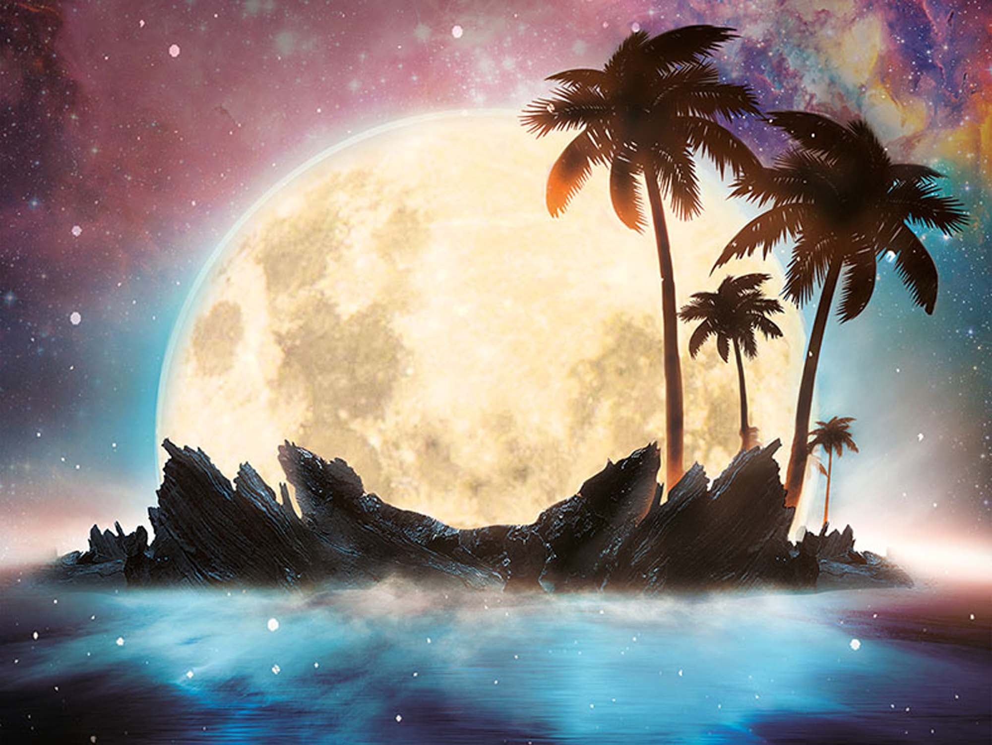 Paint by Numbers 30x40 cm | Magical moon (ME1148e) – Painting by numbers | Varvikas.Shop