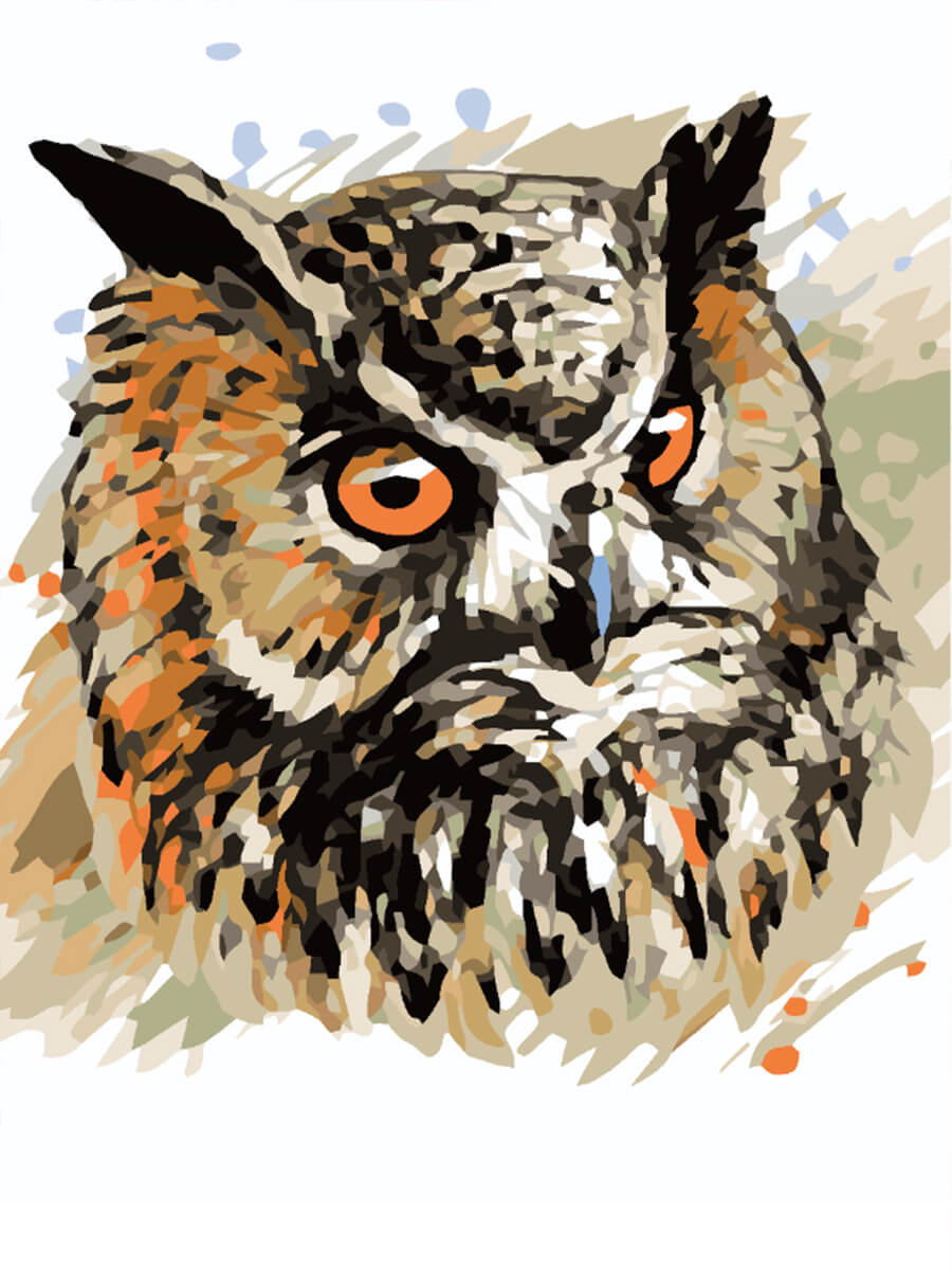 Paint by Numbers 30x40 cm | Owl Face (ME1123e) – Painting by numbers | Varvikas.Shop