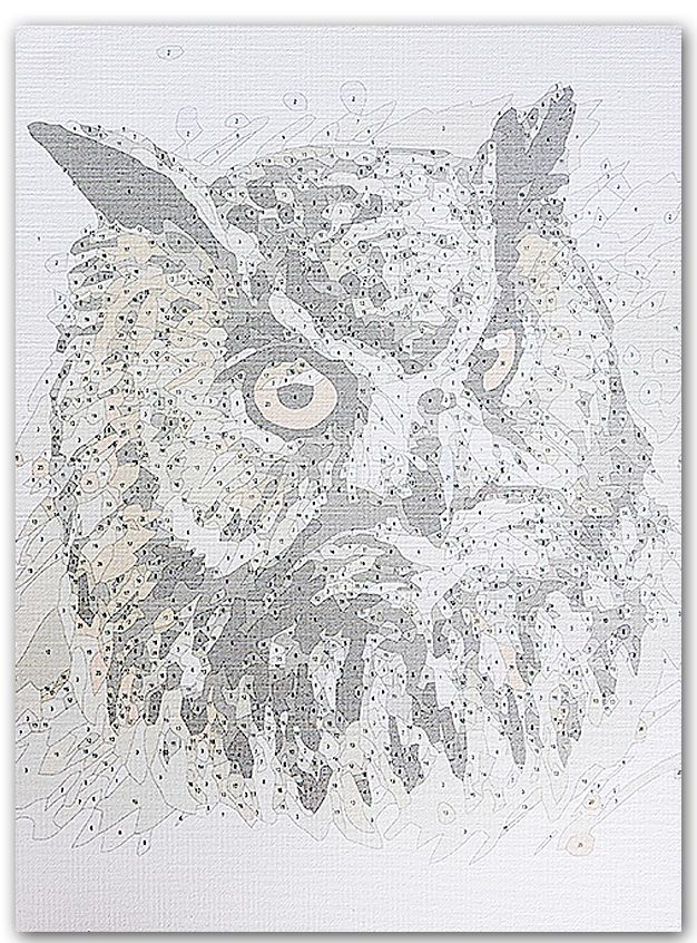 Paint by Numbers 30x40 cm | Owl Face (ME1123e) – Painting by numbers | Varvikas.Shop