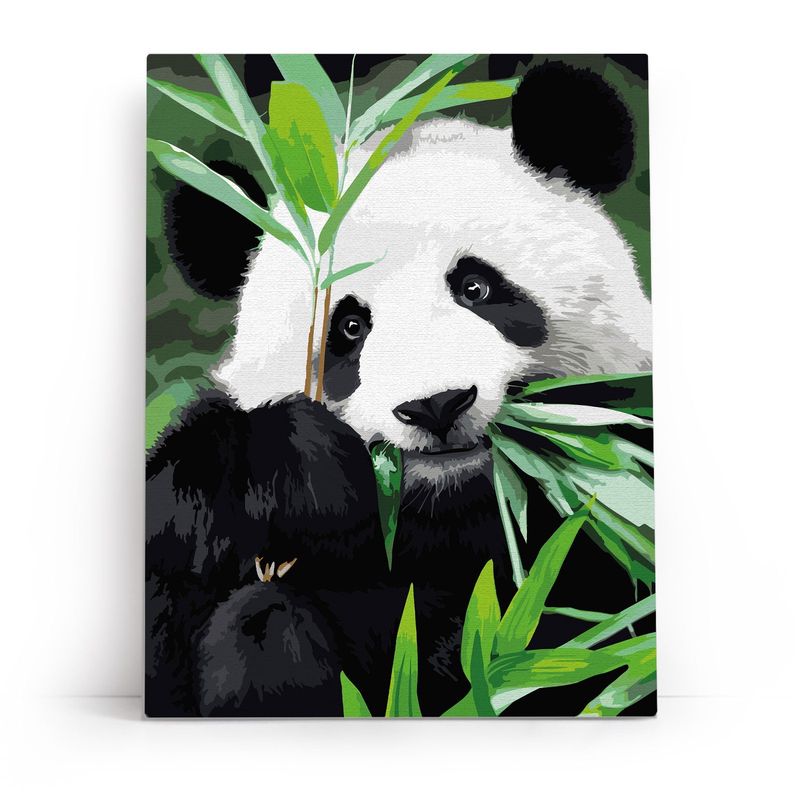 Paint by Numbers 30x40 cm | Panda Idyll (ME1171e) – Painting by numbers | Varvikas.Shop