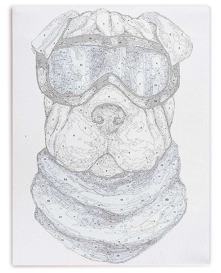 Paint by Numbers 30x40 cm | Shar - Pei (ME1110e) – Painting by numbers | Varvikas.Shop