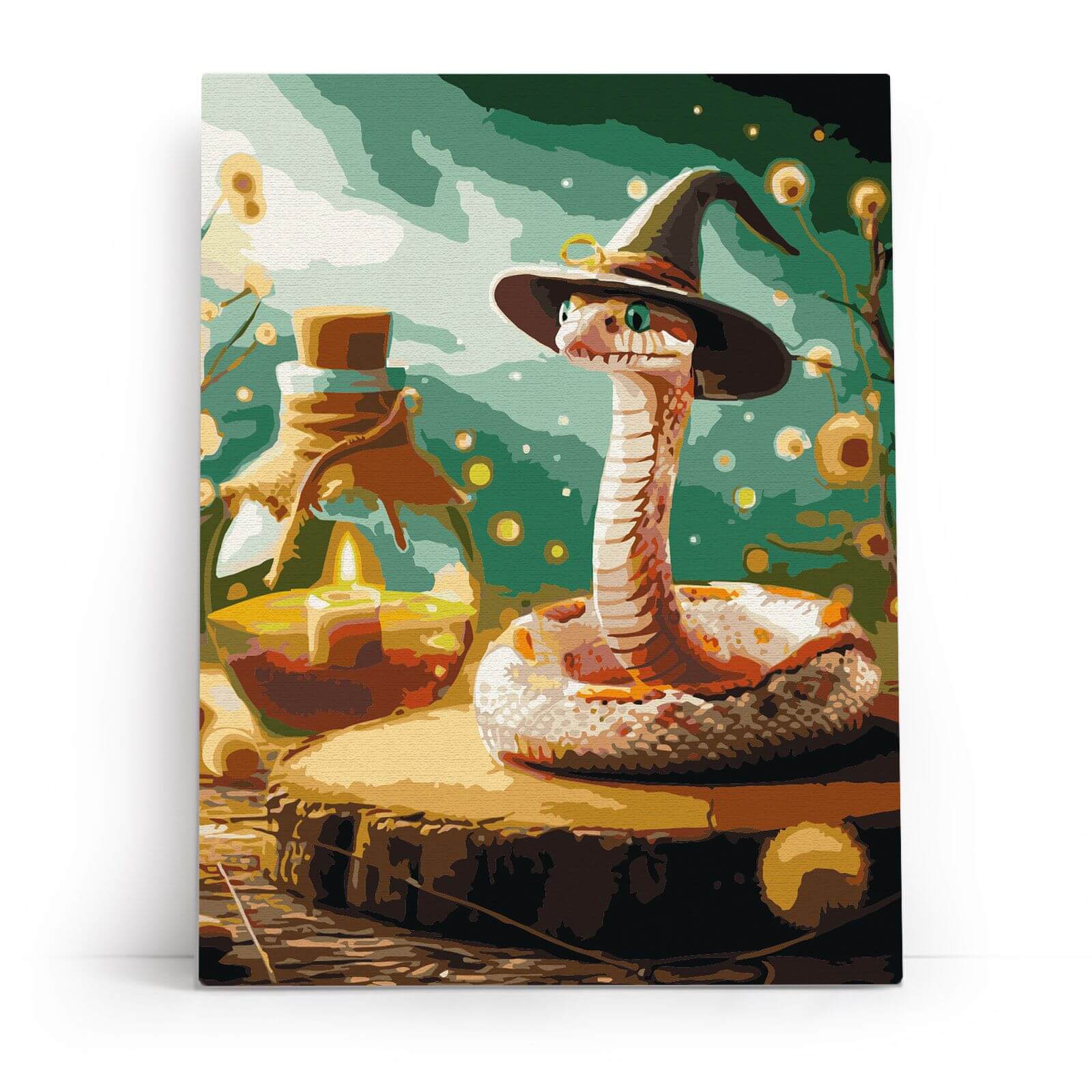 Paint by Numbers 30x40 cm | Snakey the Sorceress (ME1172e) – Painting by numbers | Varvikas.Shop