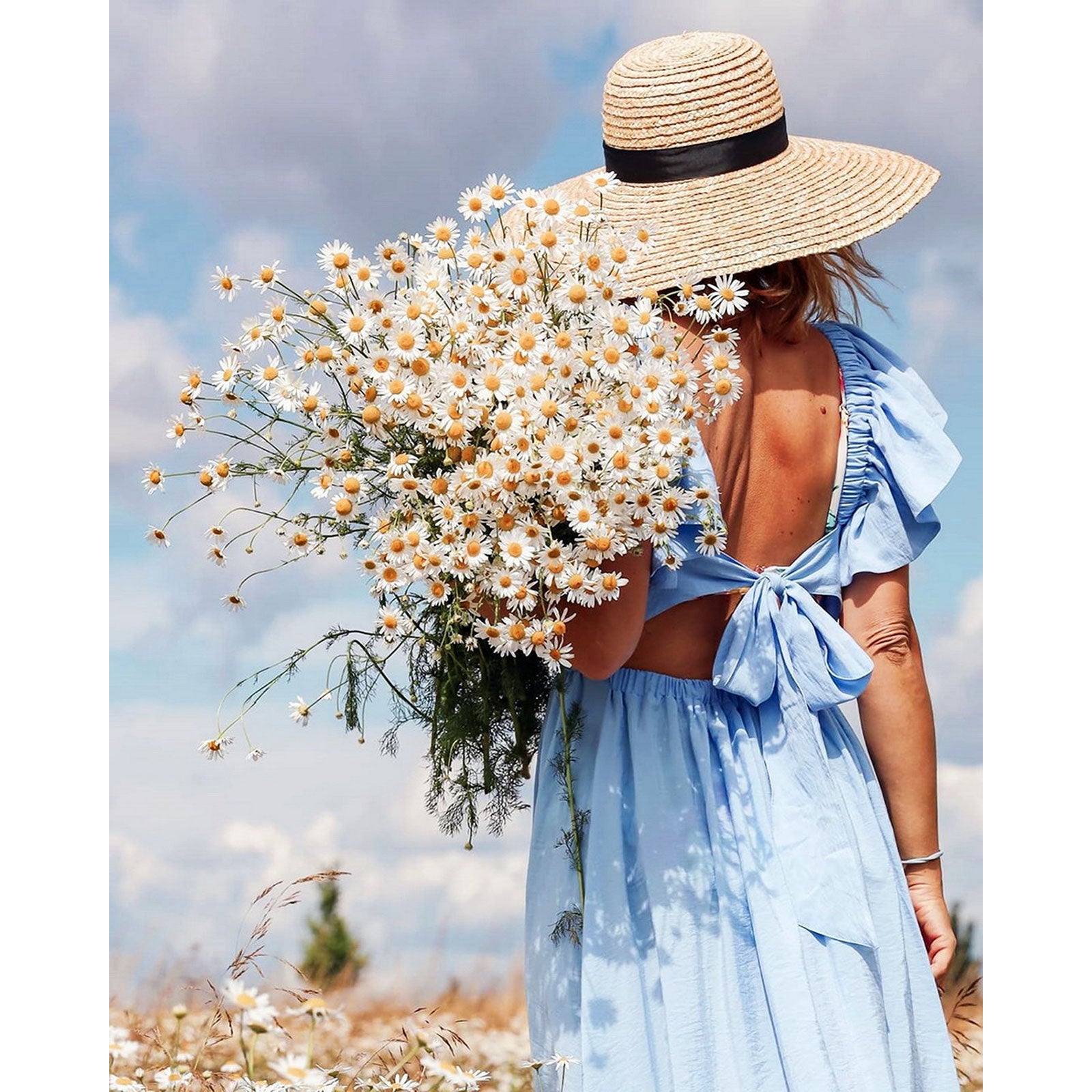 Paint by Numbers 30x40 cm | Summer walk (ME1151e) – Painting by numbers | Varvikas.Shop