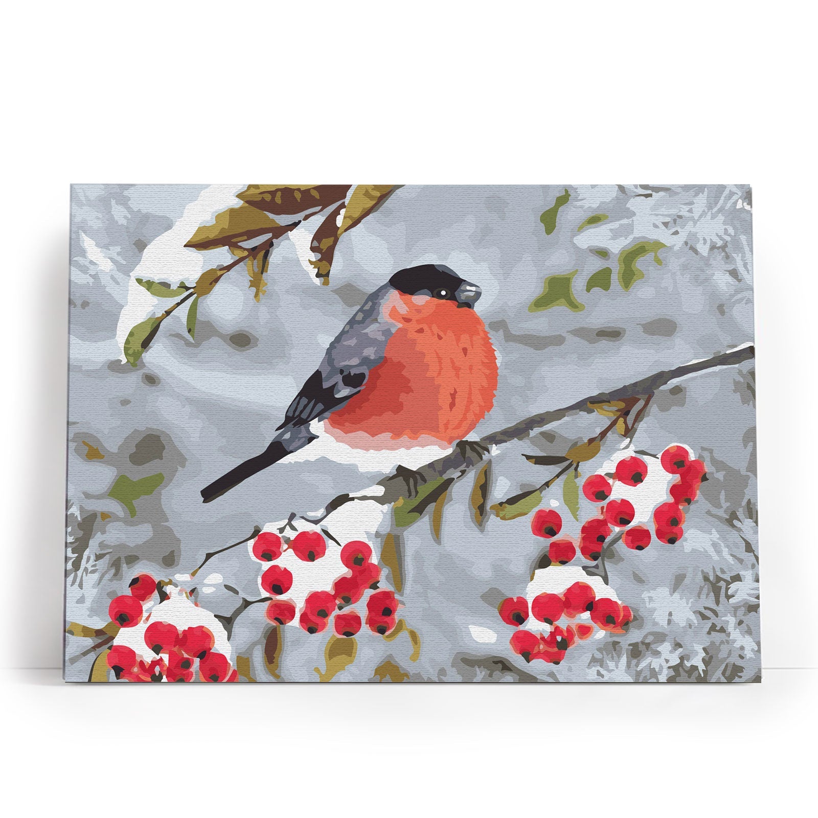 Paint by Numbers 30x40 cm | Winter symbol (ME1142e) – Painting by numbers | Varvikas.Shop