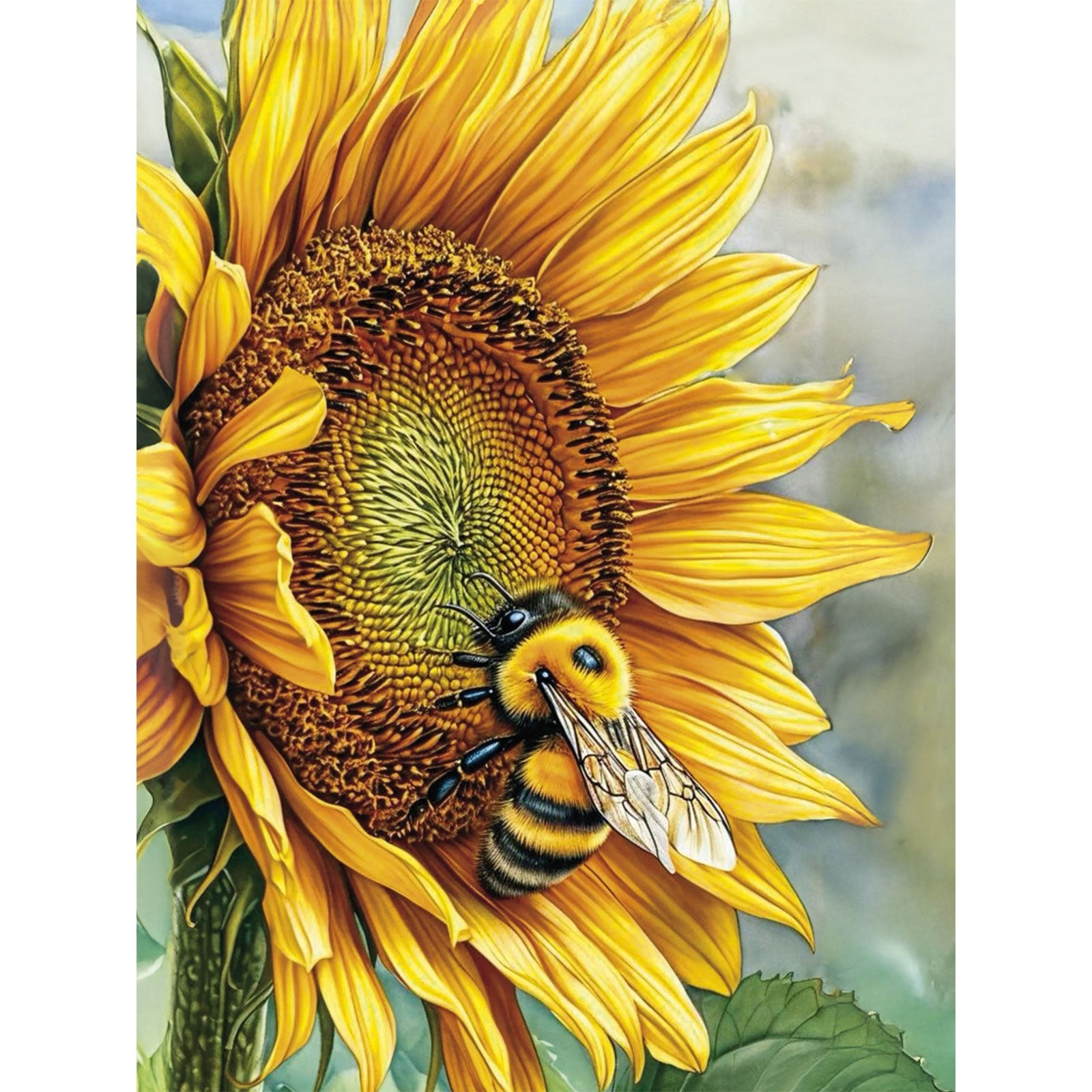 Paint by Numbers 40×50 cm, Honey Afternoon (MG2539e) – Painting by numbers | Varvikas.Shop