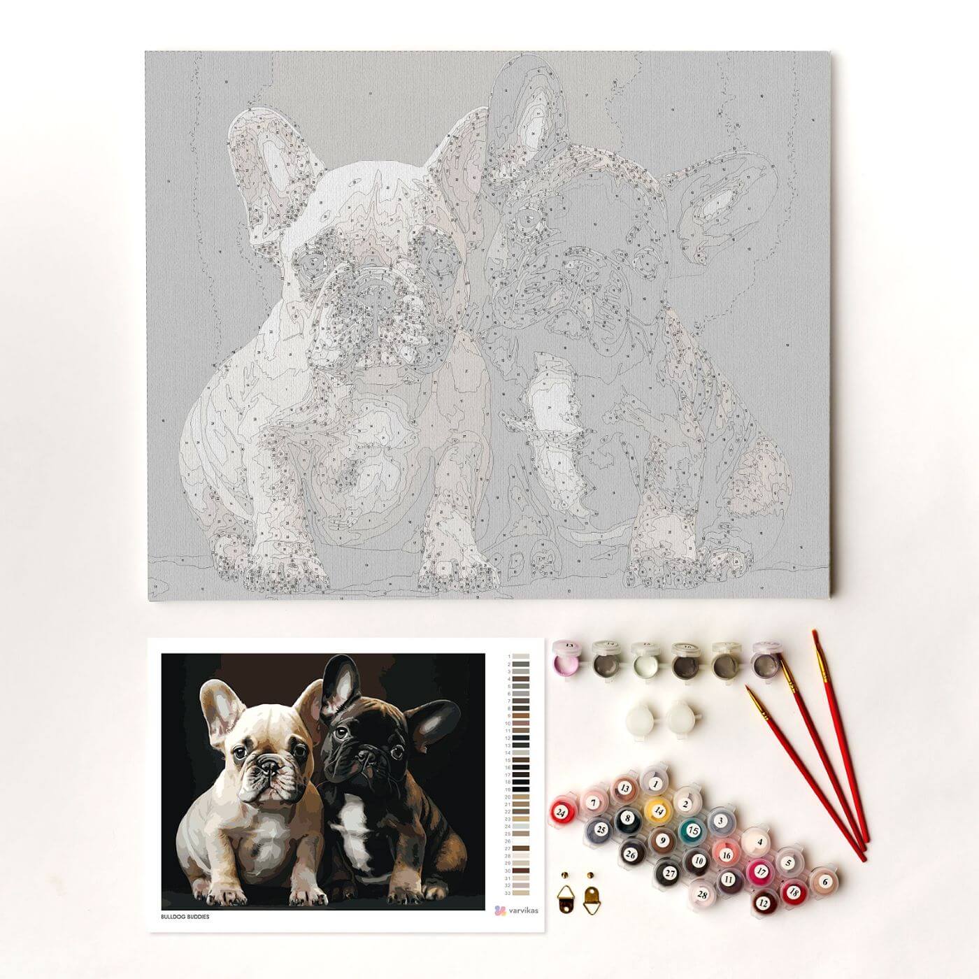 Paint by Numbers 40x50 cm | Bulldog Buddies (MG2518e) – Painting by numbers | Varvikas.Shop