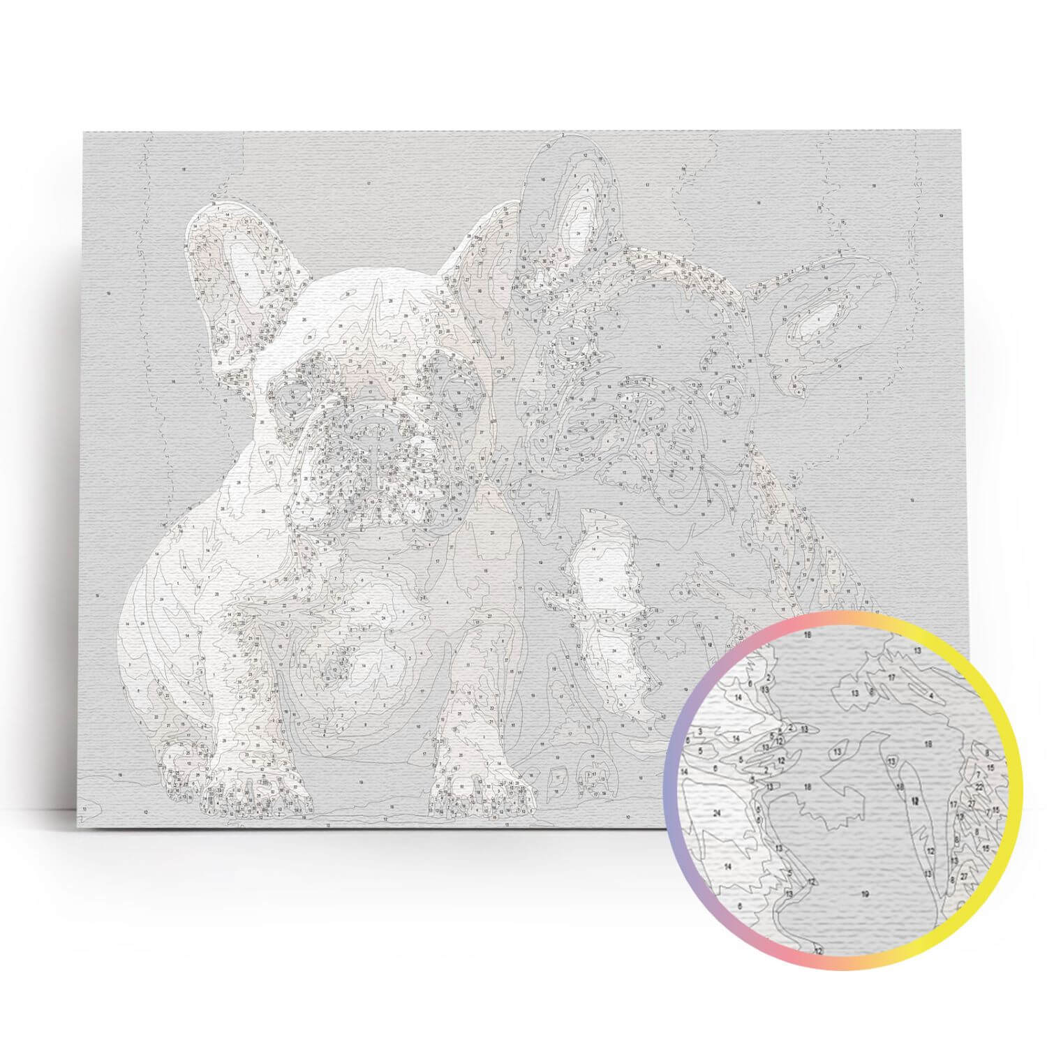 Paint by Numbers 40x50 cm | Bulldog Buddies (MG2518e) – Painting by numbers | Varvikas.Shop