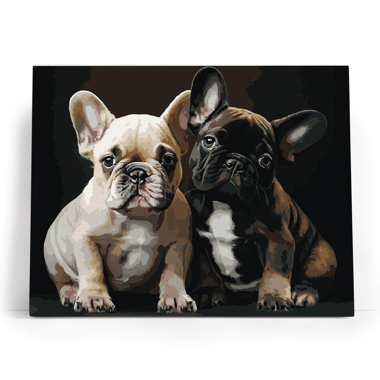 Paint by Numbers 40x50 cm | Bulldog Buddies (MG2518e) – Painting by numbers | Varvikas.Shop