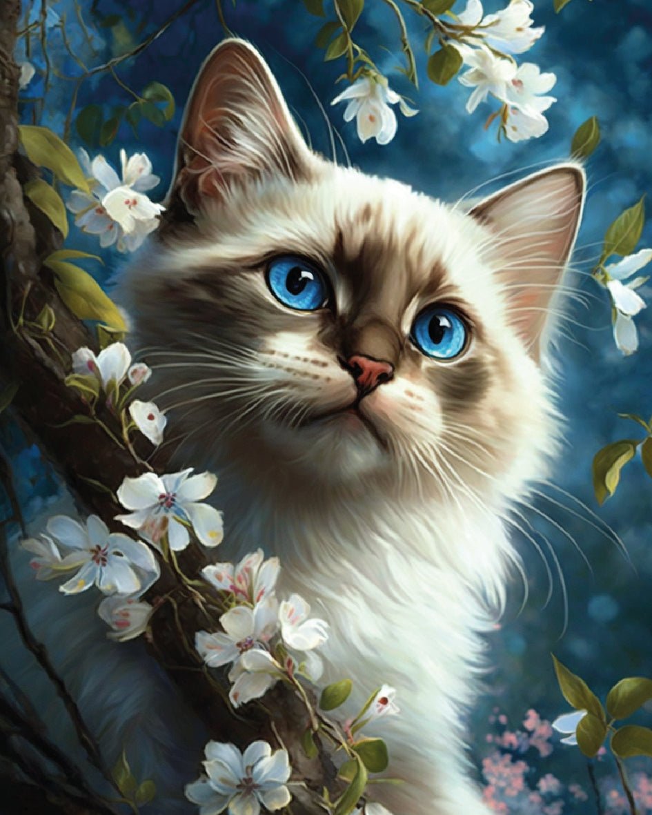 Paint by Numbers 40x50 cm | Cat's harmony (MG2476e) – Painting by numbers | Varvikas.Shop