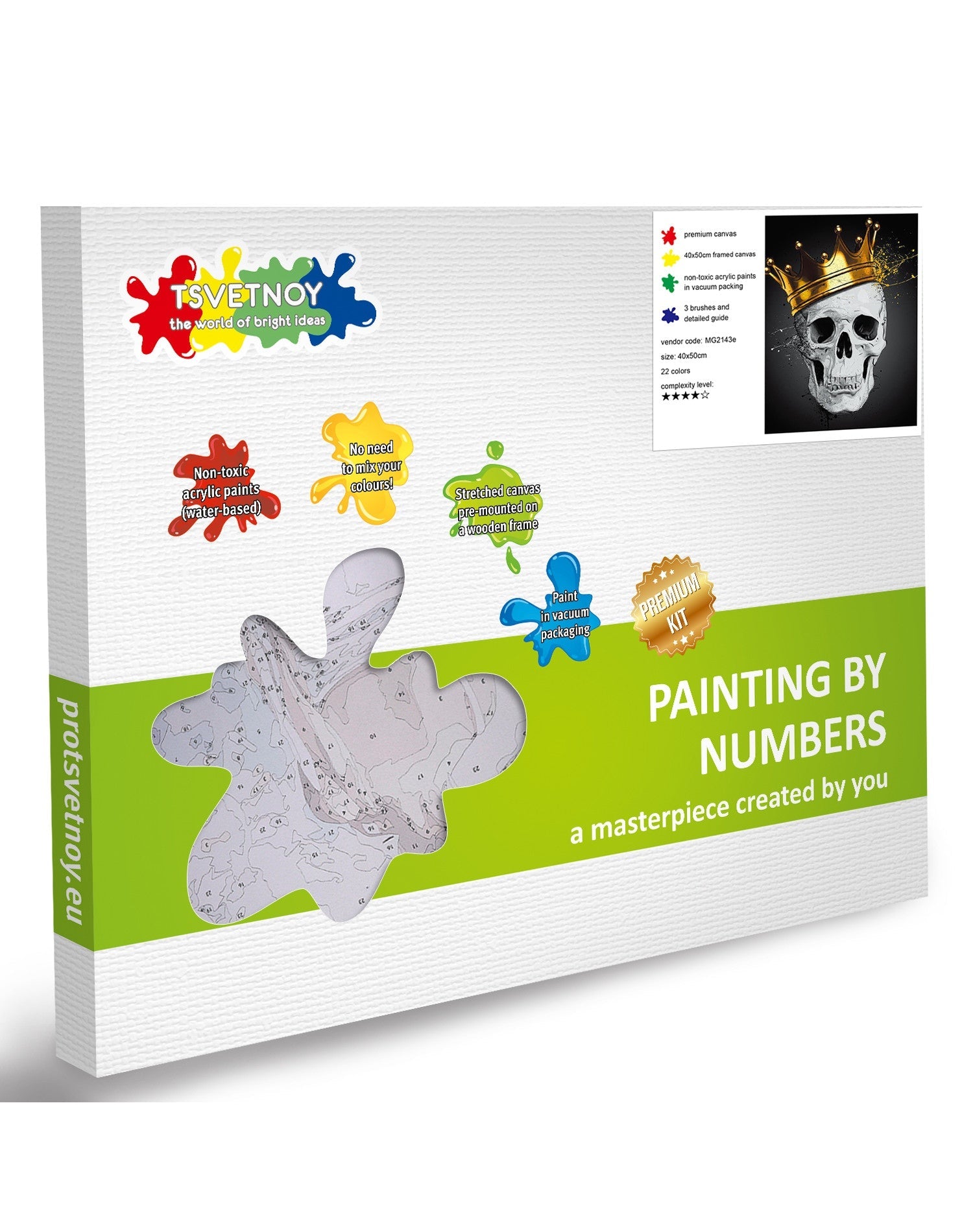 Paint by Numbers 40x50 cm | Fashionable Skull (MG2143e) – Painting by numbers | Varvikas.Shop