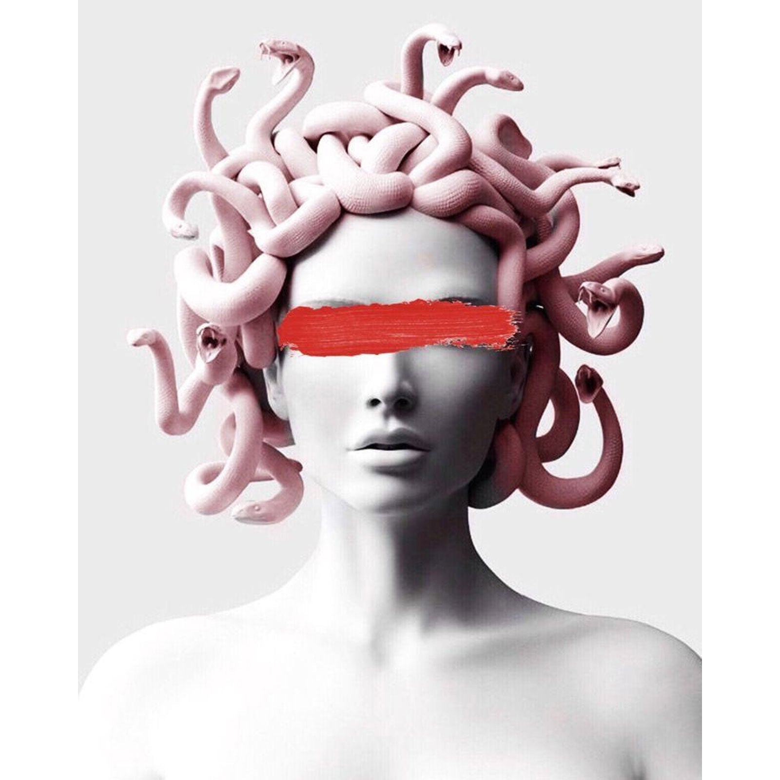 Paint by Numbers 40x50 cm | Gorgon (MG2144e) – Painting by numbers | Varvikas.Shop