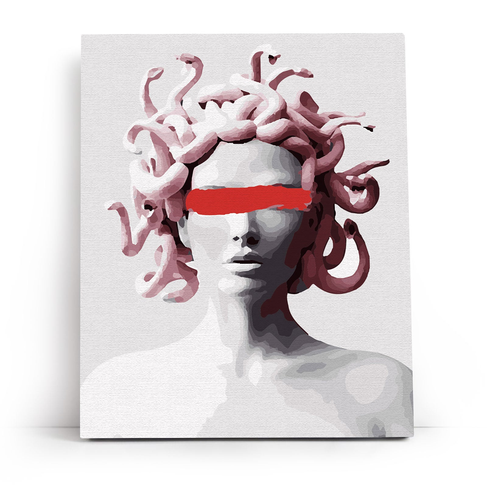 Paint by Numbers 40x50 cm | Gorgon (MG2144e) – Painting by numbers | Varvikas.Shop