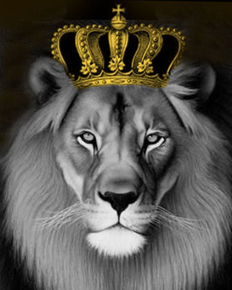 Paint by Numbers 40x50 cm | Lion King (MG2146e) – Painting by numbers | Varvikas.Shop