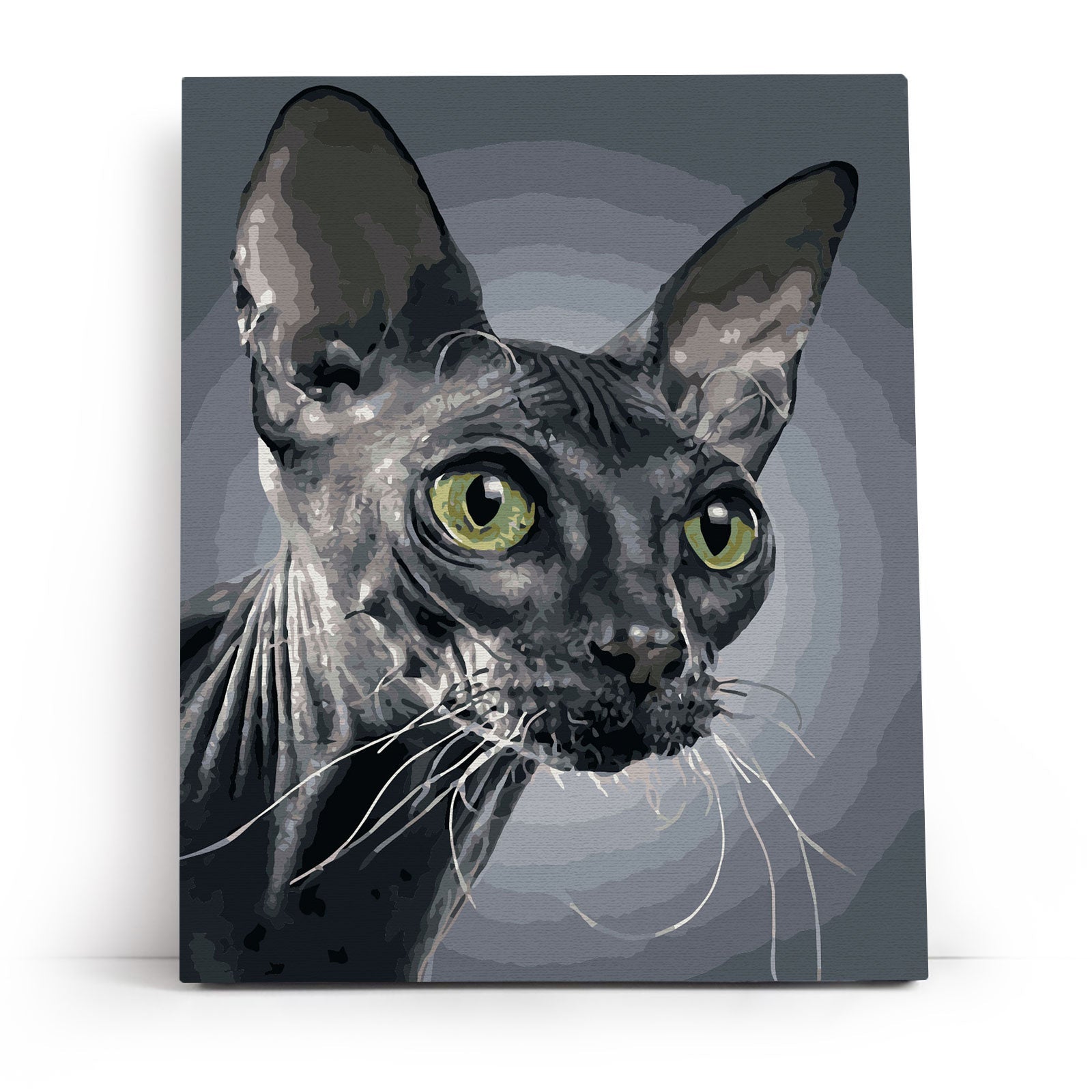 Paint by Numbers 40x50 cm | Mystical Sphinx (MG2443e) – Painting by numbers | Varvikas.Shop