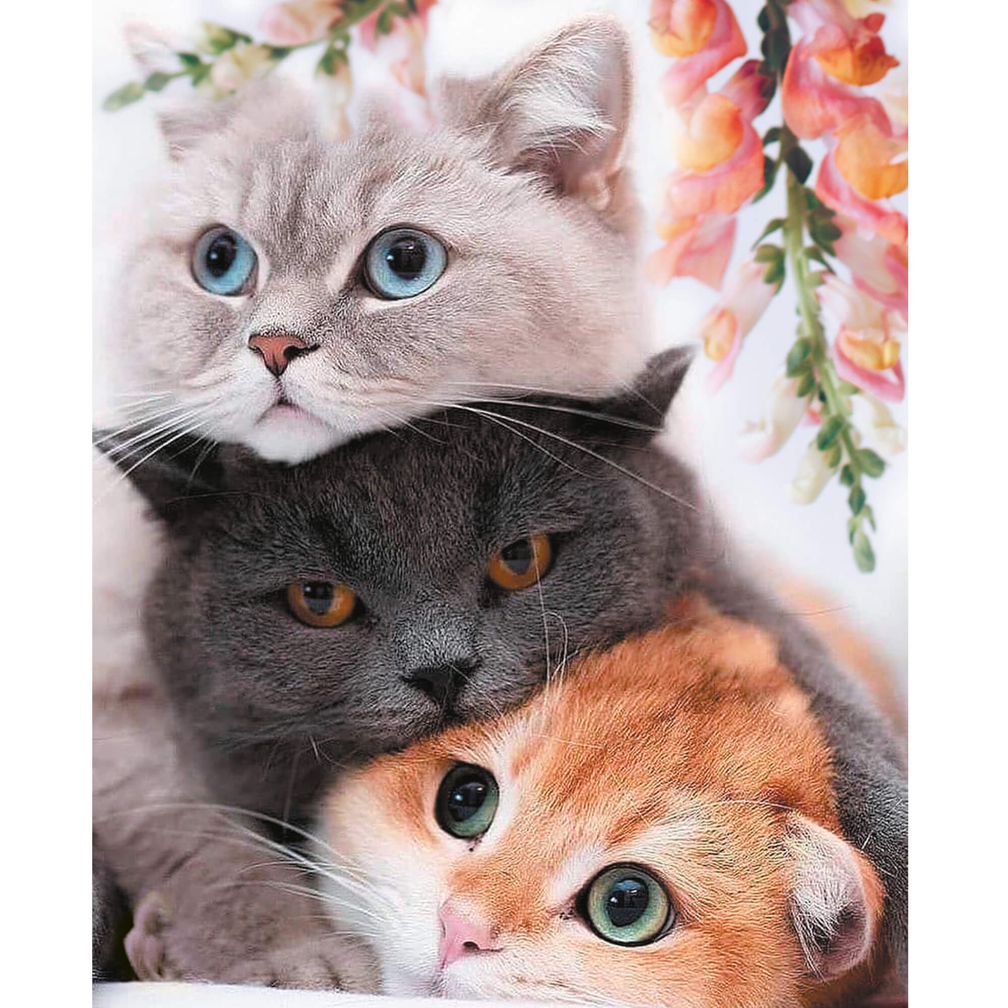 Paint by Numbers 40x50 cm | Three Kittens (MG2431e) – Painting by numbers | Varvikas.Shop