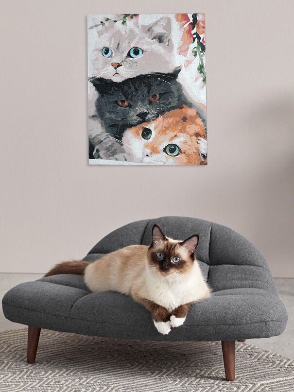 Paint by Numbers 40x50 cm | Three Kittens (MG2431e) – Painting by numbers | Varvikas.Shop