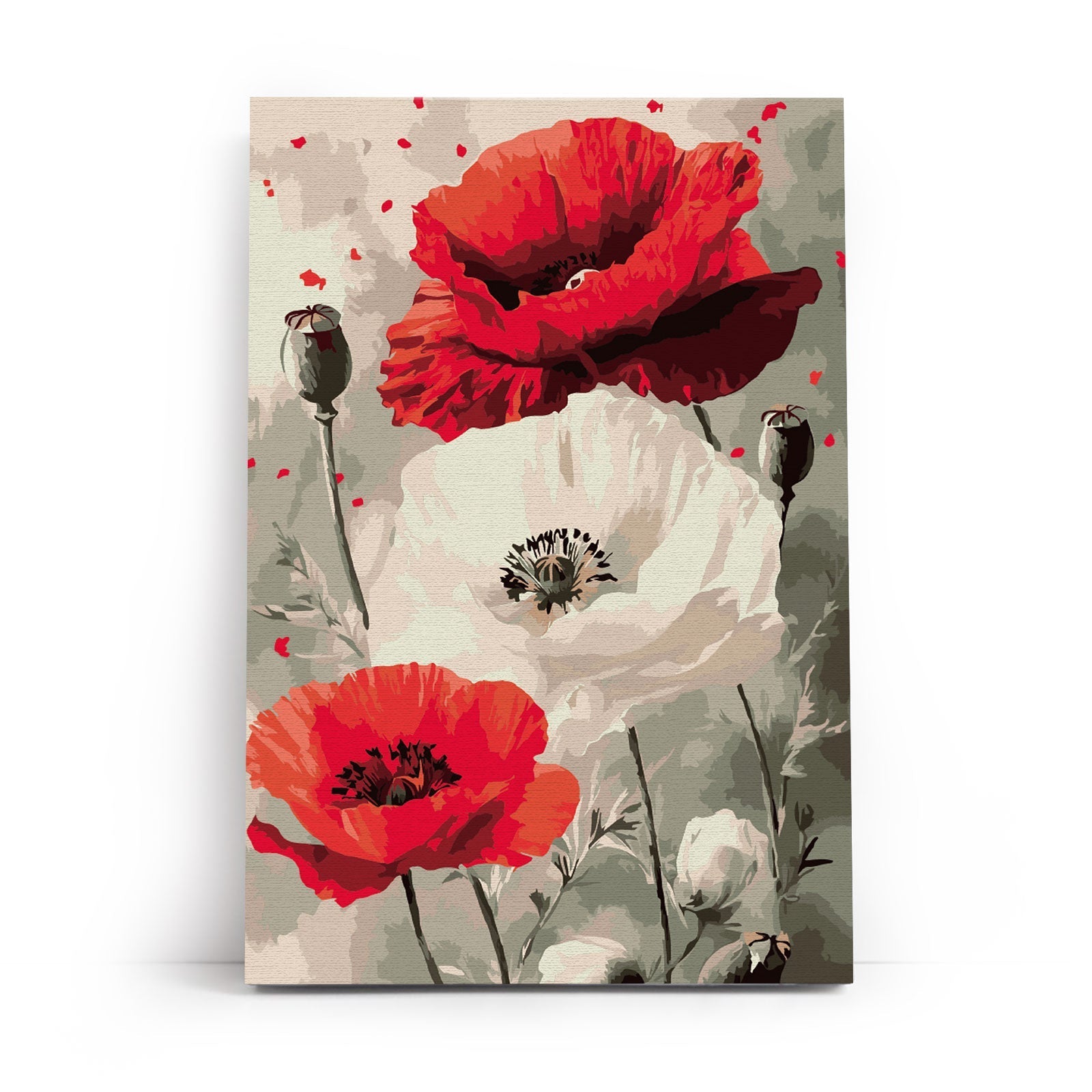Poppy Paint by Numbers: Bold Red Blooms - Varvikas.Shop