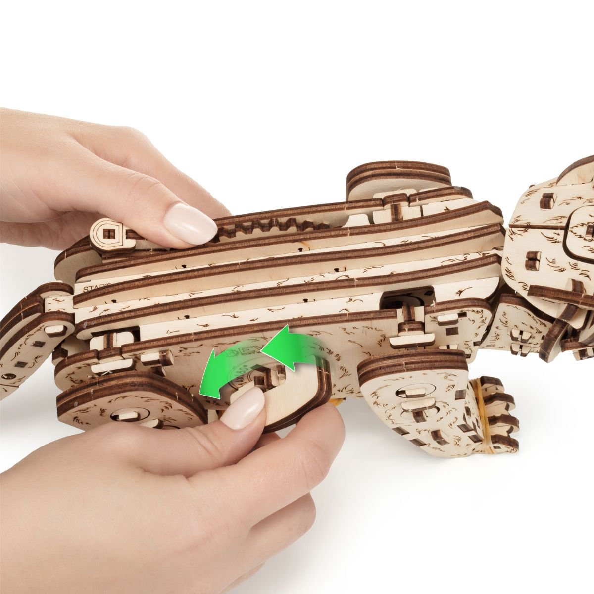 3D Wooden Model Kit | Kitten (BEW003e) – Wooden constructors | Varvikas.Shop