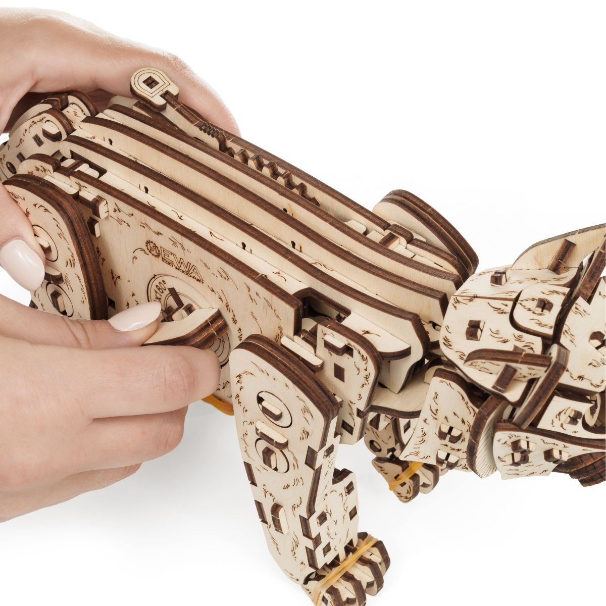 3D Wooden Model Kit | Kitten (BEW003e) – Wooden constructors | Varvikas.Shop