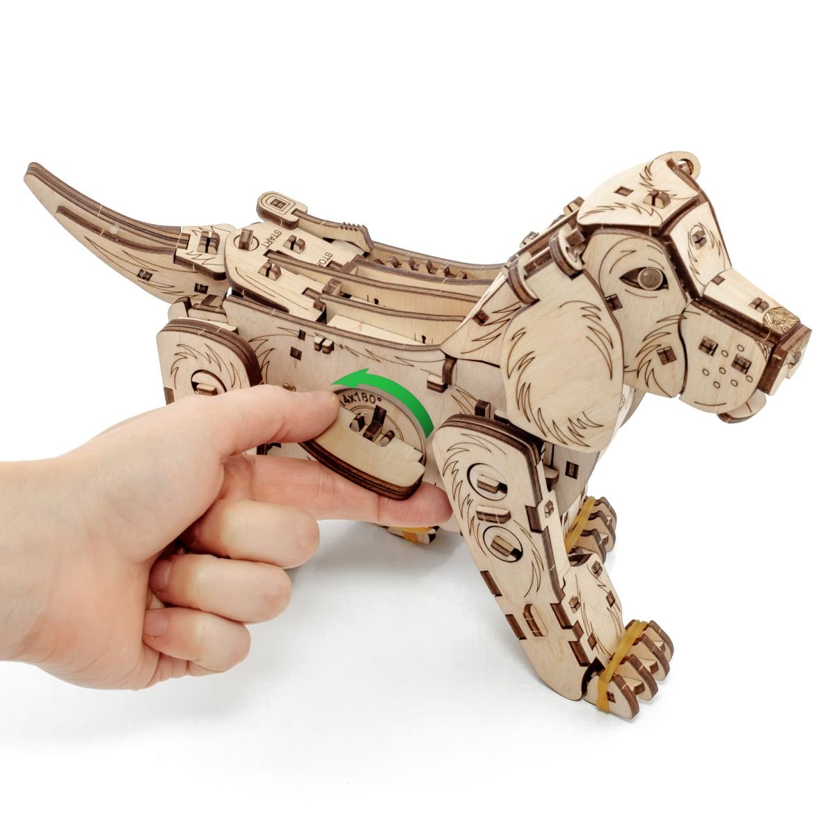3D Wooden Model Kit | Puppy (BEW002e) – Wooden constructors | Varvikas.Shop